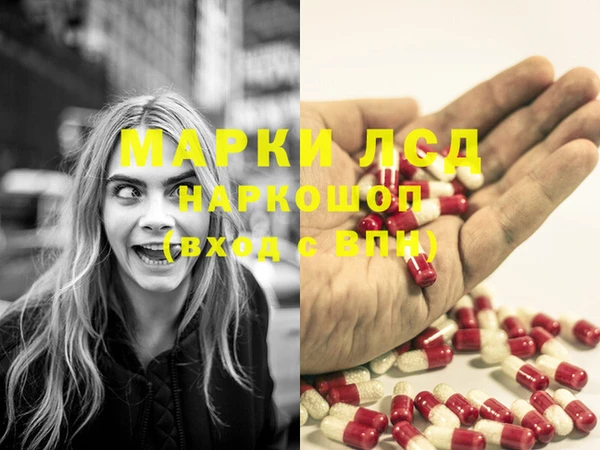 марки lsd Новозыбков