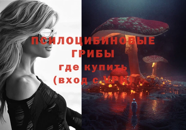 ешки Нефтегорск